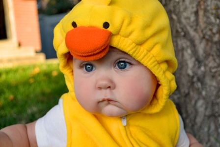 I'm a Duck This Year