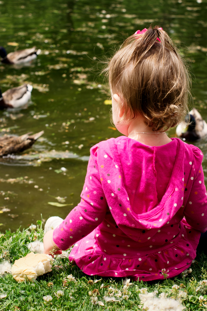 We went to see the ducks