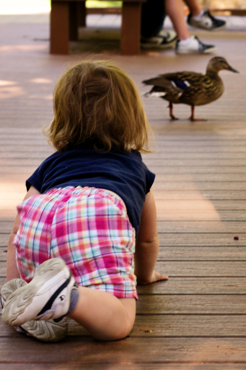 She kept scaring the ducks because she was so excited
