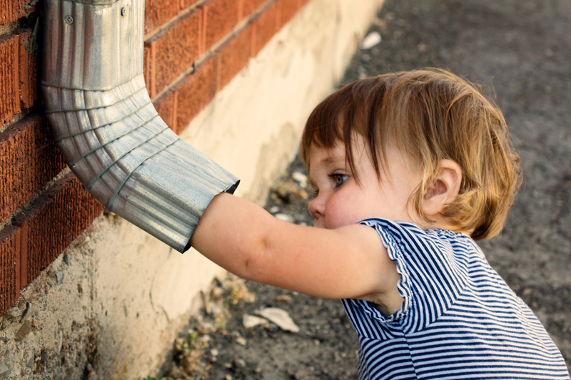 Now where is that itsy bitsy spider?