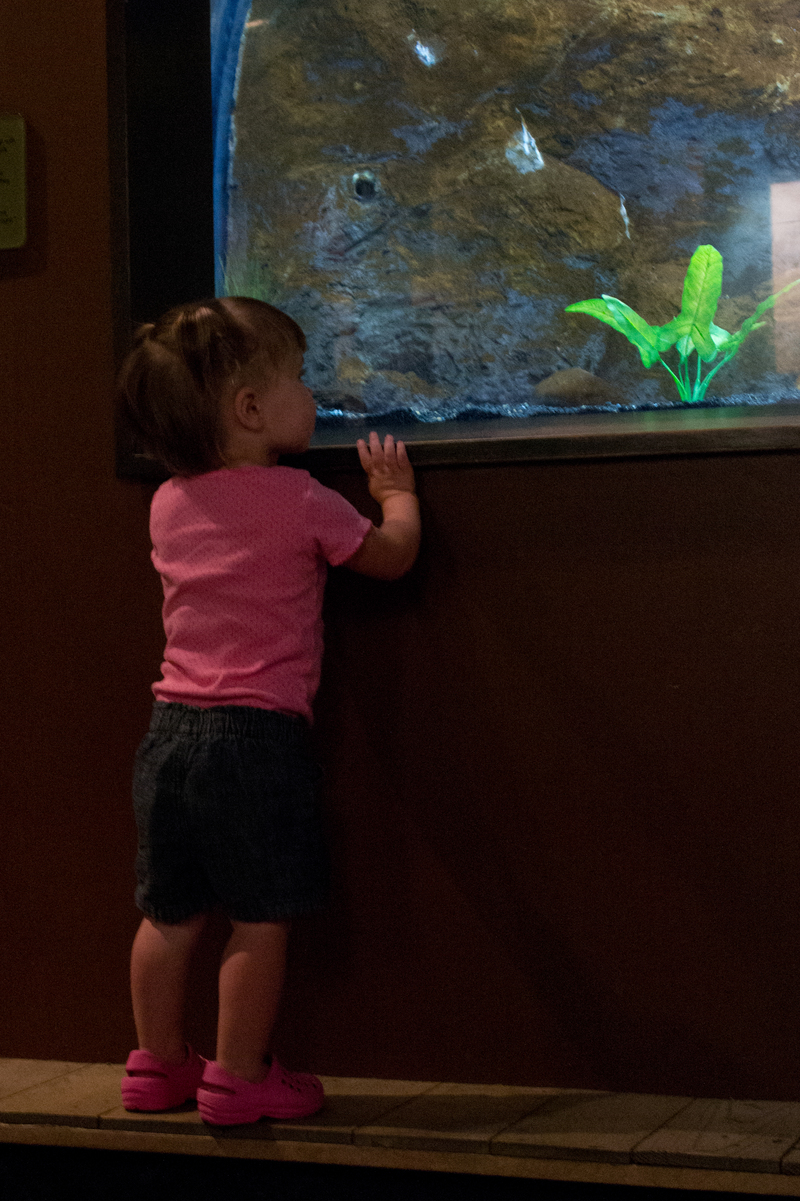 Went to the aquarium for Mommy's birthday