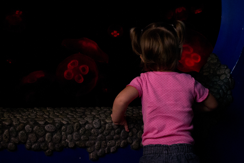 She called these "bubbles"