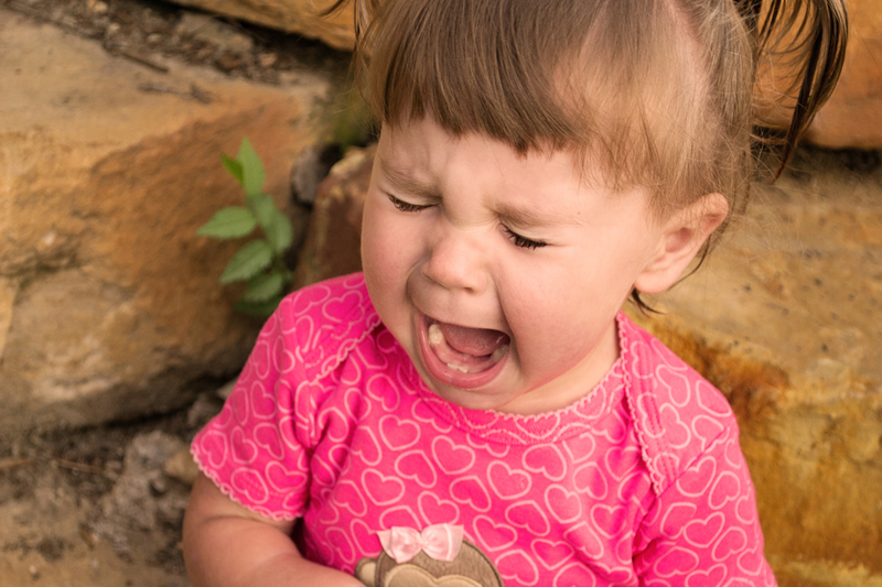 I'm done being on these rocks!