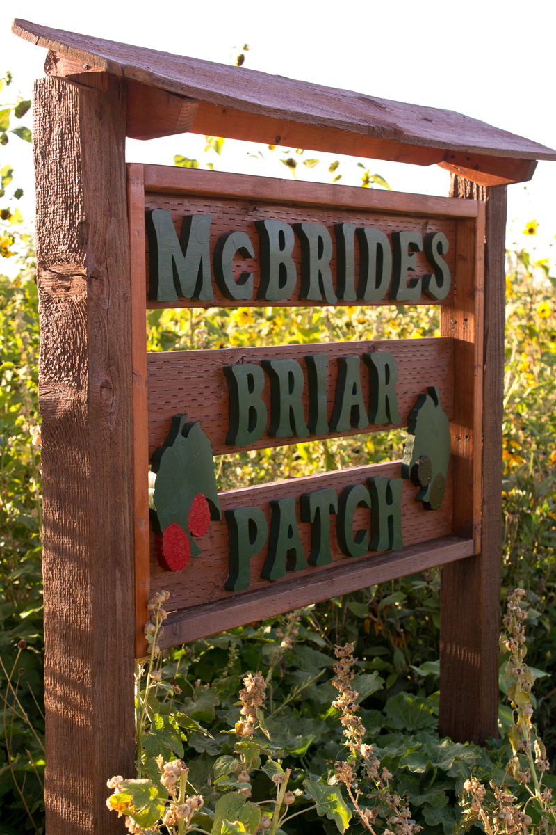 Em and I went berry picking