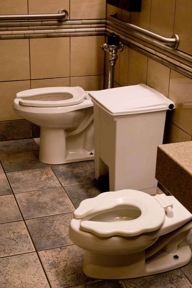 Love these little kid potties I've been seeing!