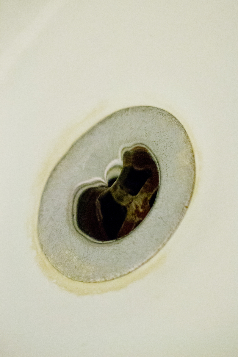 Here is the "snake" that comes out of the drain to drink all of the water. She loves it. I'd be scared.