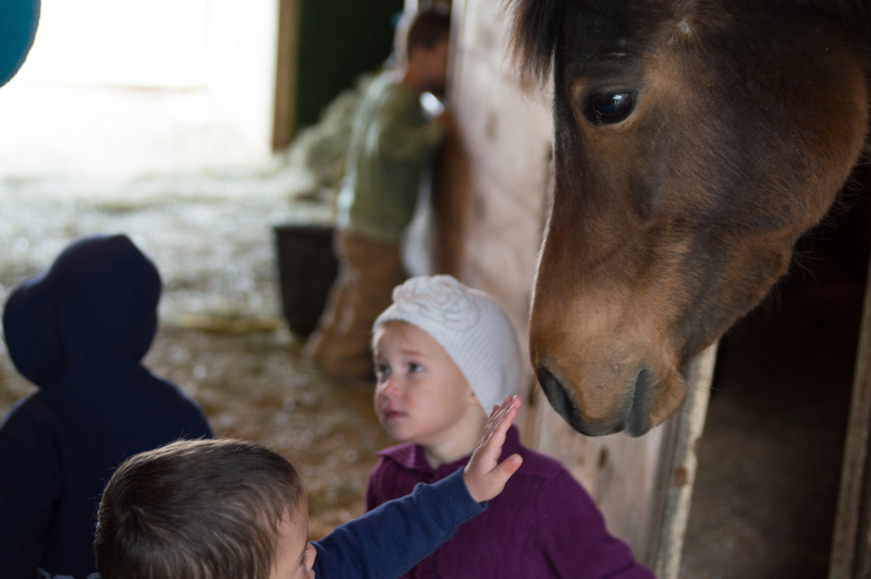 Preschool trip to see horses
