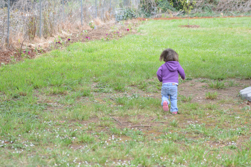 Playing on the Rosewold playground