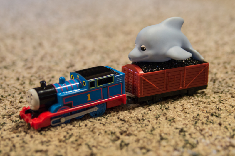 Thomas & the Shark (her favorite book being re-enacted)