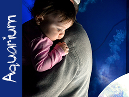 Living Planet Aquarium