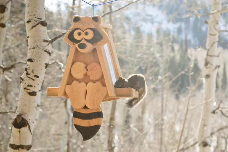 The squirrel likes it, too