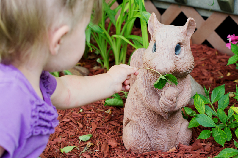 After feeding the chickens, she tried to feed all the other "animals"