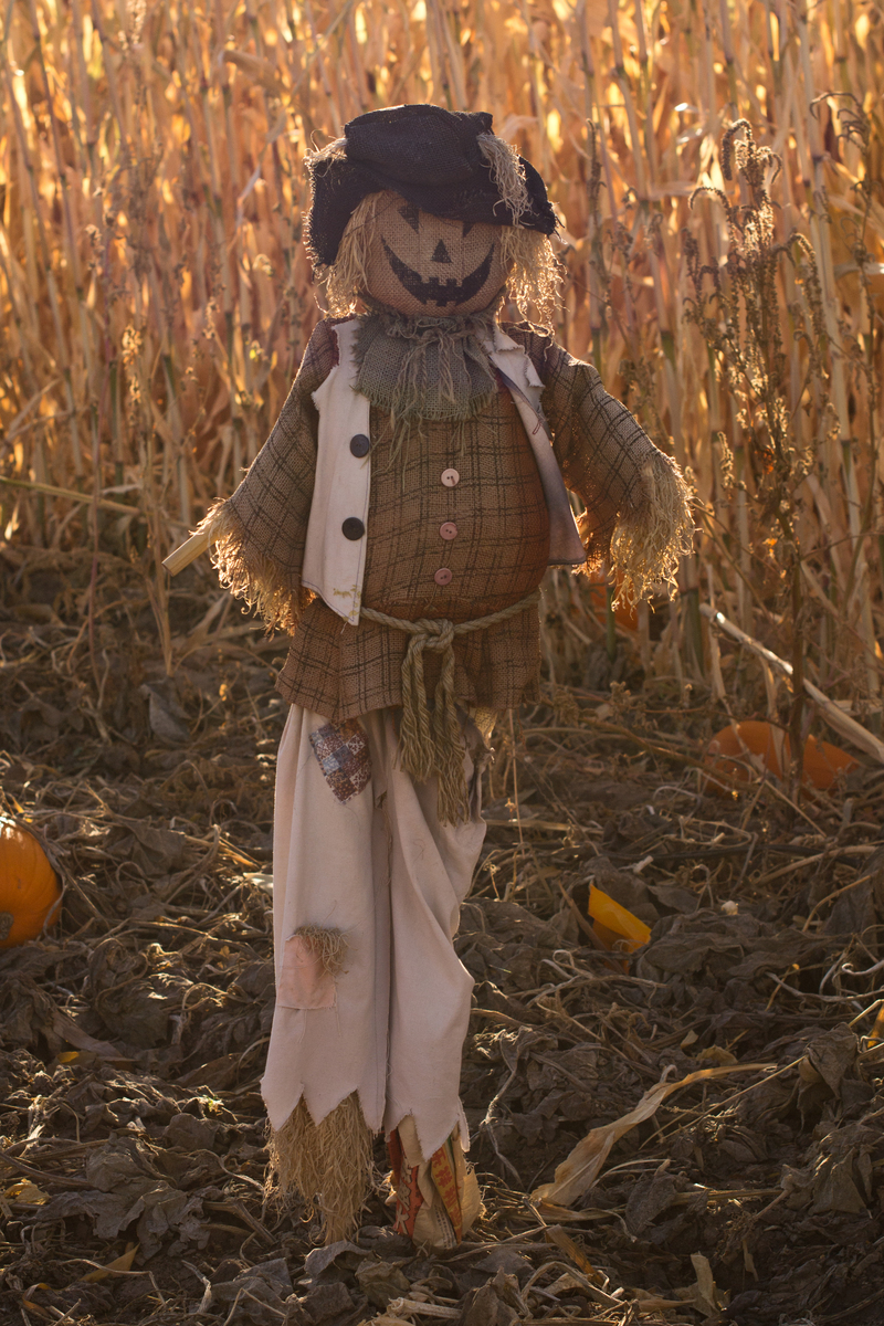 There were LOTS of decorations