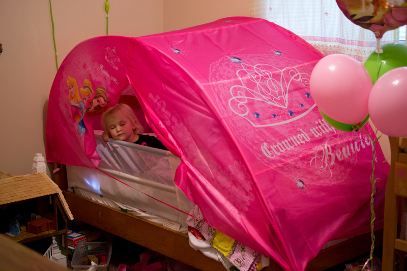 The new bed tent