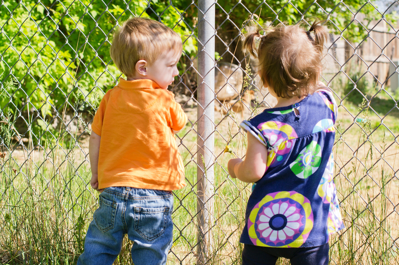Checking out the neighbor's dog