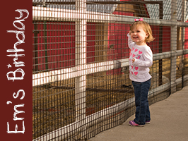 Emily's Birthday 2012