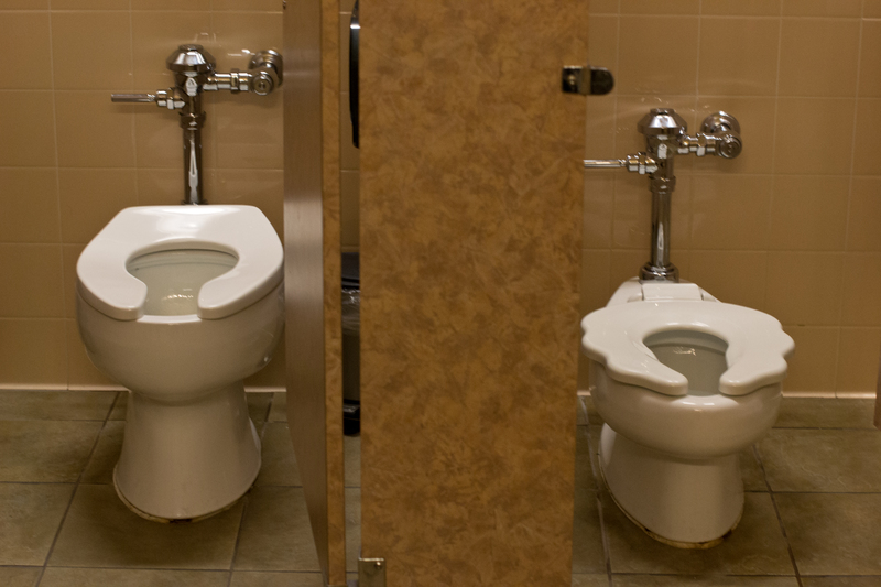 I know it's funny to take a picture of the toilets, but I'm in love with these little kid ones I've been seeing lately!