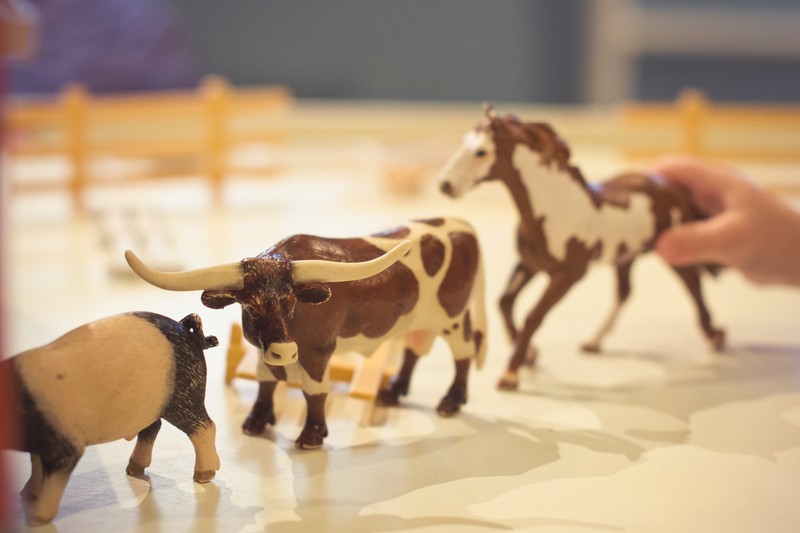 Making a train of animals