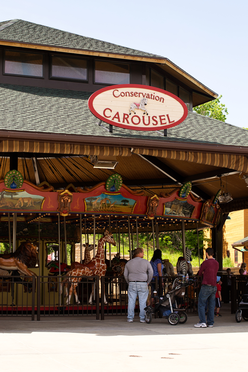 We didn't ride on it, but it looked like fun! Maybe next time.