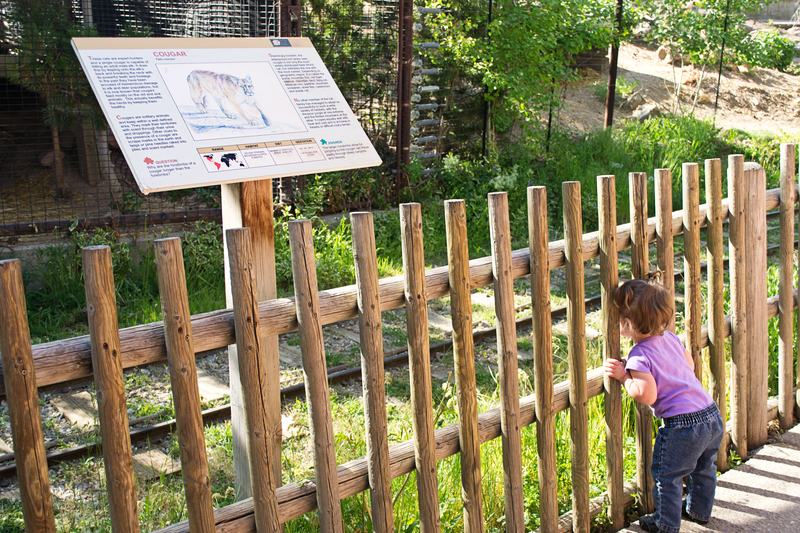 Loved her looking through the fence like this