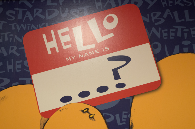 The bear's name is "Pinkie"