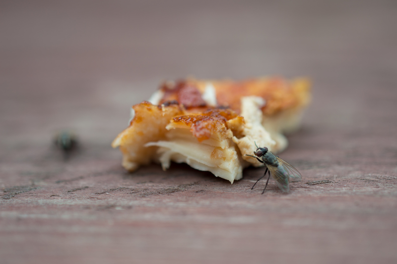 Our little offering to the bugs