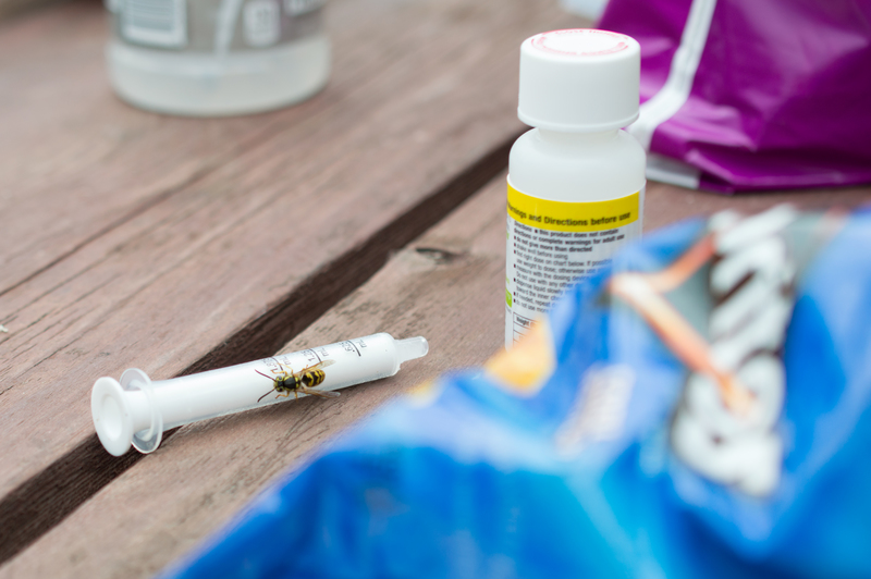 Ironic. After giving Em meds for her bee sting, the bee needs meds, too