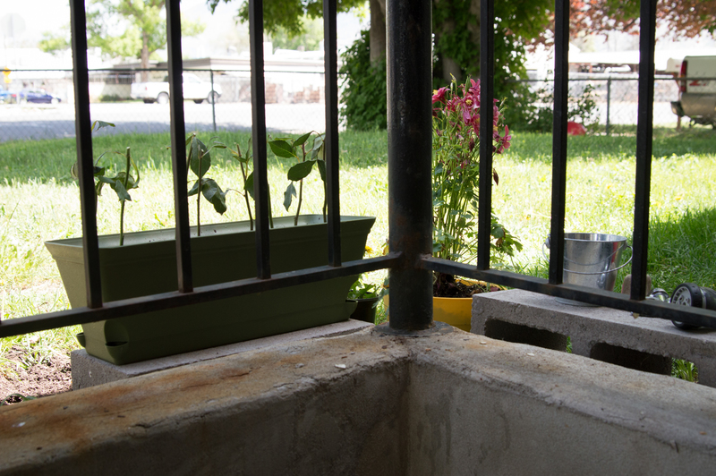 The view from our front door