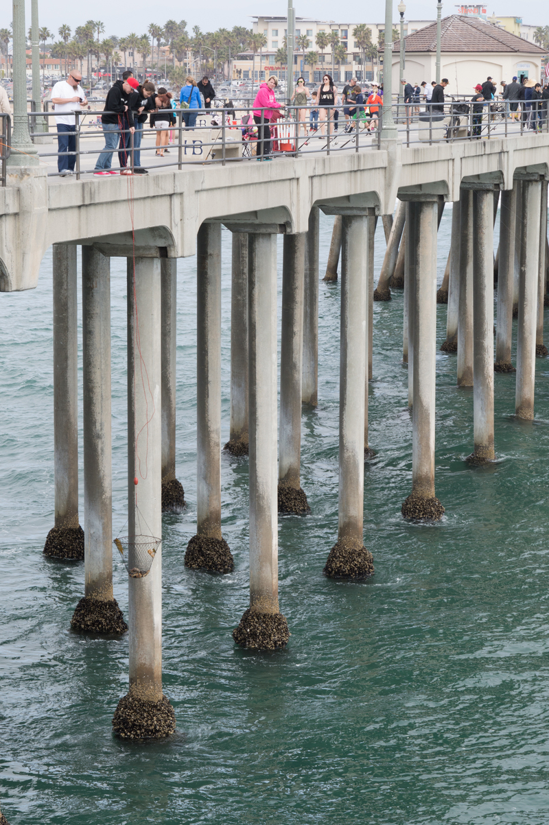 Fishing with a bucket off the pier
