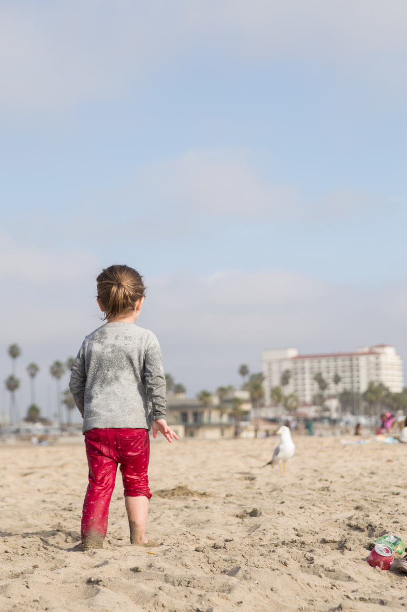 Ooh, a bird. I really want to chase it...