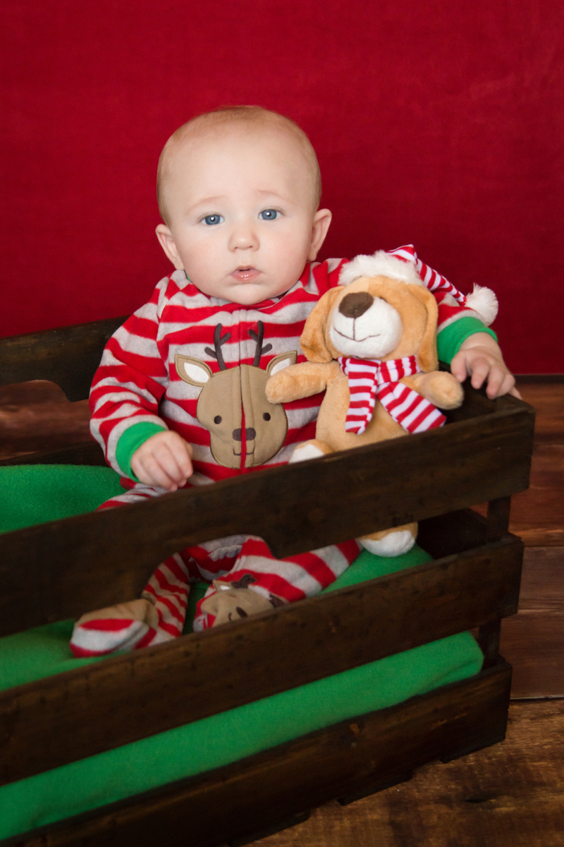 Christmas pictures of Austin