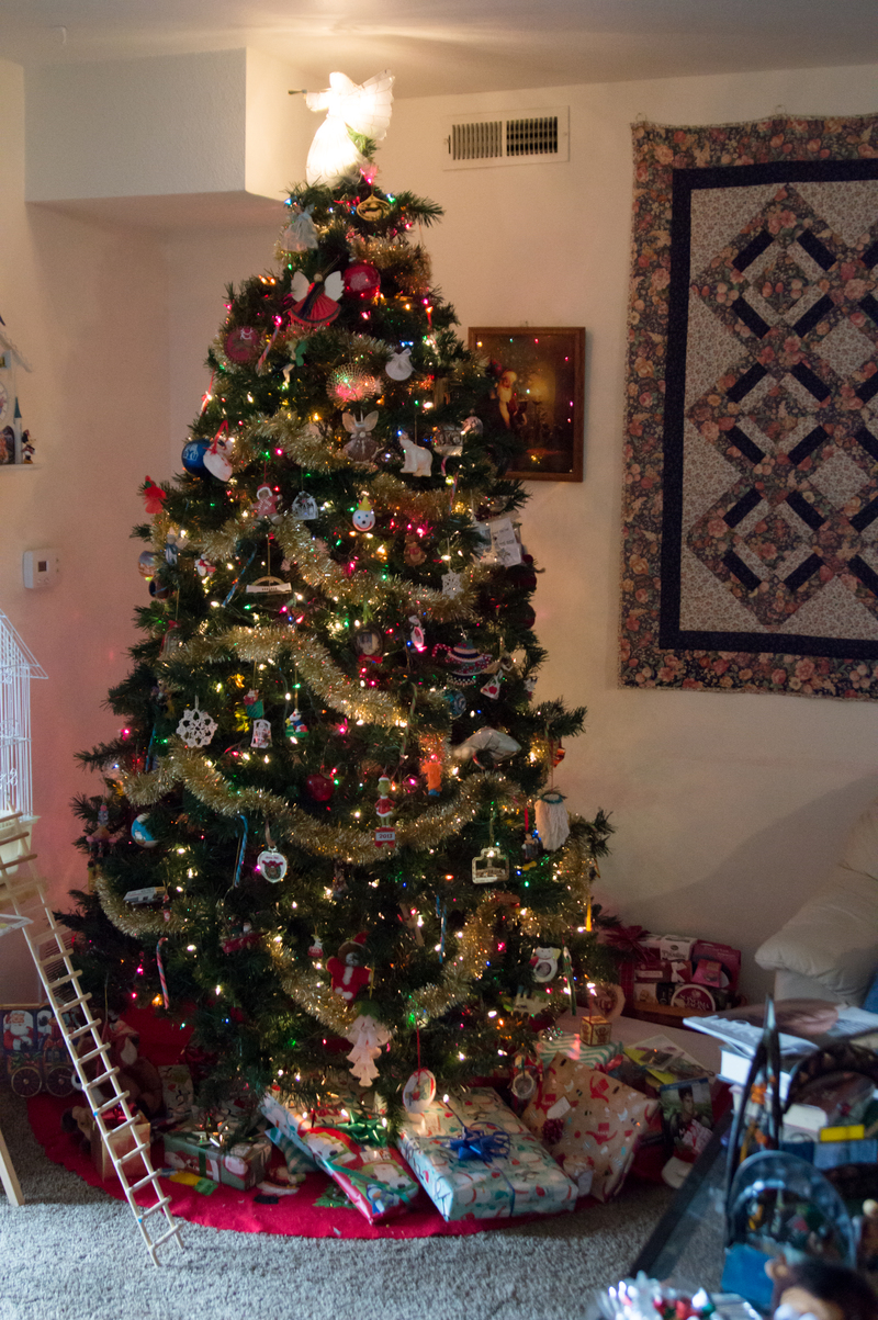 Nana and Papa had presents under the tree for us!