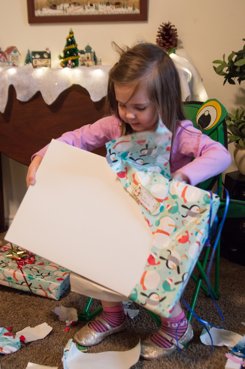 Somehow Santa knew he could bring a couple of Emily's gifts to St George this year. Are we that predictable?