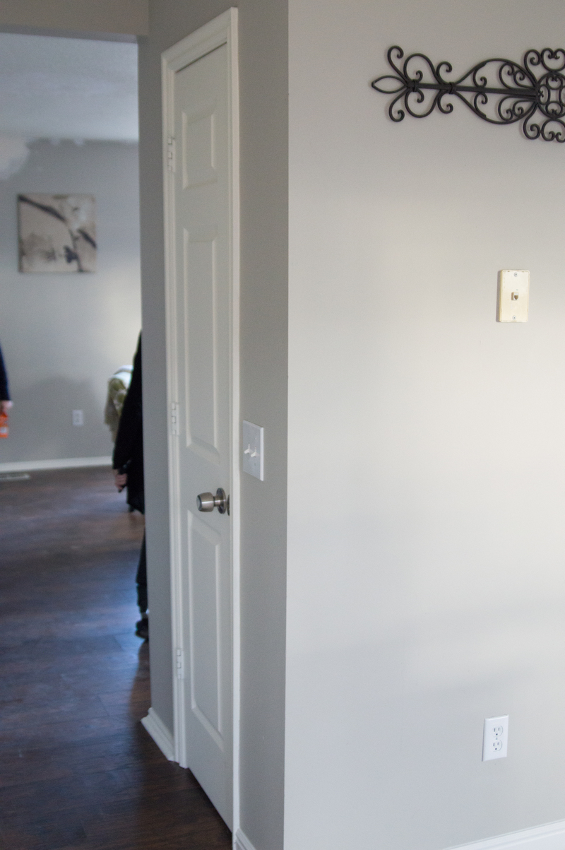 Pantry between Living room and Kitchen