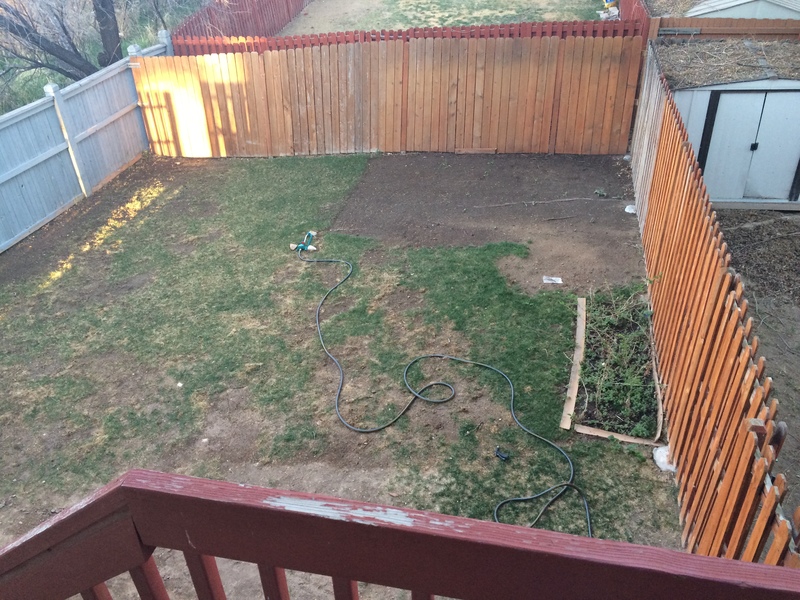 Back yard from kitchen sliding door